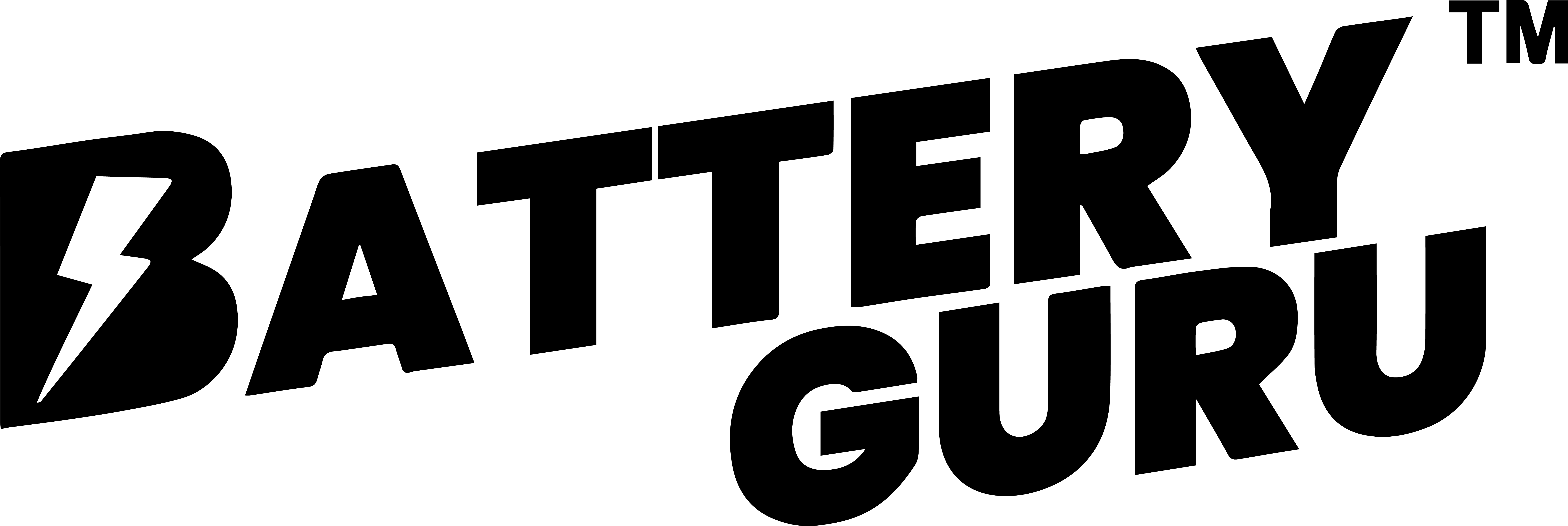 Battery Guru Home
